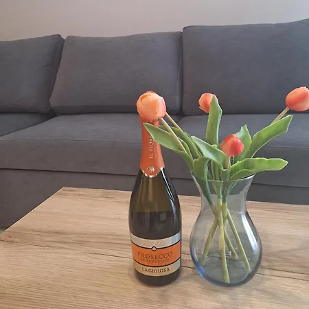 N89 Wislane Tarasy * 크라쿠프